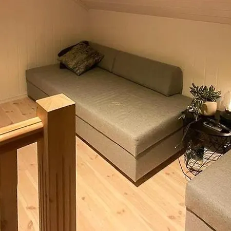 Modern With In-ski Out In Rauland *