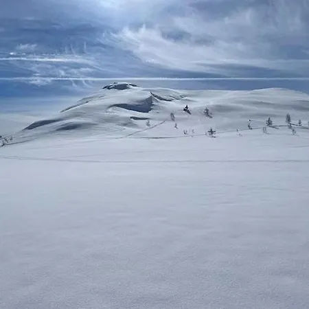 Modern With In-ski Out In Rauland